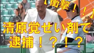衝撃！清原覚せい剤で逮捕！？！？
