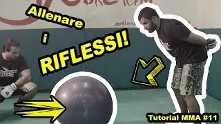 ALLENARE I RIFLESSI!Tutorial MMA!