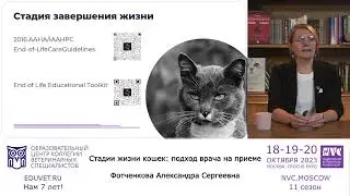 Александра Фотченкова - «Стадии жизни кошек: подход врача на приеме».