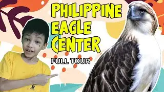 Davao Philippine Eagle 🦅 Center || Full tour #eagle #philippineeagle #birds #animals #davao