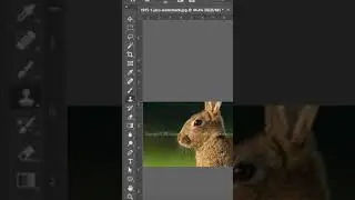 How to remove watermark
