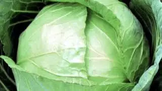 Teri va muskullardagi tuzlardan halos bo’lish uchun....., ovoz bo’g’ilganda.....