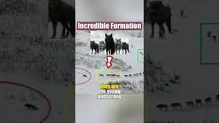 incredible Formation 