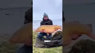 Глина в пещере ОКАЗАЛАСЬ ЧИСТЫМ ЗОЛОТОМ🔦🌕😱