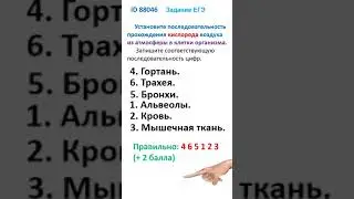 ID 88046  Дыхательные пути    ответ