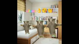 𝕡𝕠𝕧:п░о░с░л░е░ з░и░м░н░и░х░ к░а░н░и░к░у░л░