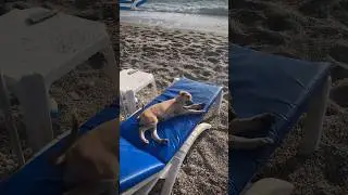 #аланья #турция2023 #аланиятурция  Бархатный сезон в Алании.