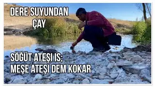 ÇAY’DA, SÖĞÜT ATEŞİ İS; MEŞE ATEŞİ DEM KOKAR