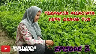Episode 2..terpaksa mencinta demi orang tua