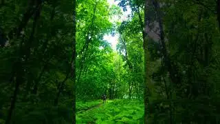 Freedom 🍃