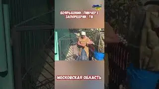 Боярышник Пикчерз Запоребрик ТВ Мосфильм Московская обл #смехдослез #приколюха #война #приколы #мем