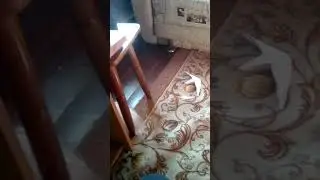 Я что-то из бумаги сделал