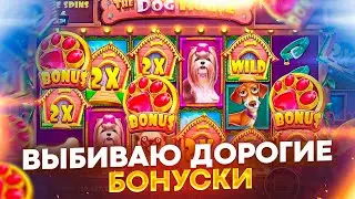 СЛОВИЛ ОЧЕНЬ СИЛЬНУЮ ПОЛЯНУ ИКСОВ ?? ЗАНОС В THE DOG HOUSE MULTIHOLD !! ( ЗАНОСЫ НЕДЕЛИ ) !! ЧАСТЬ 2