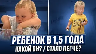 Ребенок в 1,5 года - какой он? | Стало легче? | Почему мы назвали сына МЭТТ | НАВЫКИ, ИГРУШКИ, БЫТ