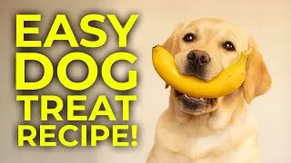 How to Make Dog Treats | Easy, Healthy, Homemade 3 Ingredient DIY Dog Treat Recipe for Dogs & People