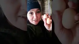 Утро  в деревне!