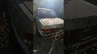 Брошенная Волга #рекомендации #челябинск #авто #волга