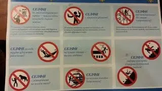 МВД России разработало памятку безопасного селфи