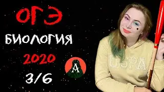 ПОДГОТОВКА К ОГЭ БИОЛОГИЯ 2020. Ботаника. 3/6