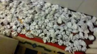 soddisfazioni post esame