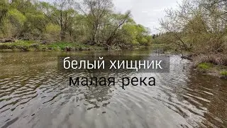 Охота за белым хищником ранней весной / рыбалка с ночёвкой
