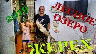 Озеро в глуши...Жерех 3.3