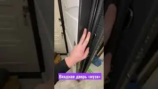 Входная дверь «муза»