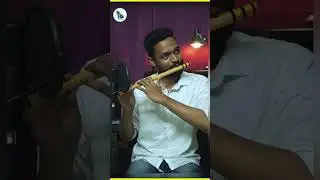 C Scale Flute | Middle Flute | Flute Sound | #flute #fluteshorts #flutescales