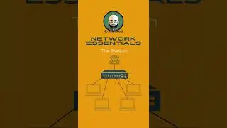The Switch - Basic Network Essentials #network #cisco #ccna #switch #essentials