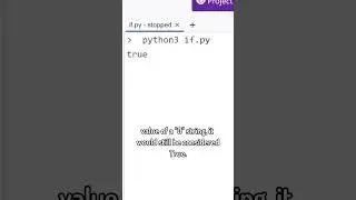 Python: How to use if statements with different data types 🐍