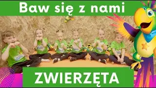 Baw się z nami! || ZWIERZĘTA || Super zabawa dla dzieci | Ćwiczenia na pamięć i koncentrację