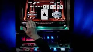 Ставлю 37 тыс рублей! Играю в Амазонку и Грифон!