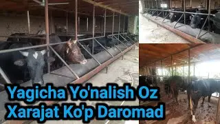 ЧОРВАЧИЛИКДА ЯНГИЧА УСЛУБ КАМ ХАРАЖАТ КУП ДАРОМАД МАНА СИЗГА МАСТЕР КЛАСС