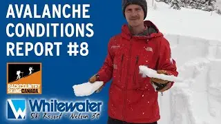 Avalanche Conditions Report 8