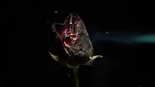 Kaldık Böyle - Mahşer (Lyric Music Video)