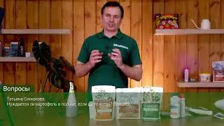 Школа ОЖЗ. 500 кг картофеля с сотки. Первый шаг: яровизация, подготовка клубней