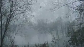 Nebbia sul fiume