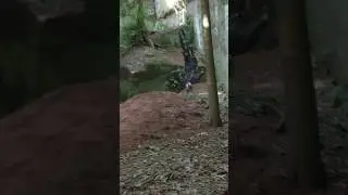 When a flip goes wrong 🚲