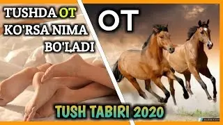 Tushda ot ko'rsa nima bo'ladi | Тушда от курса нима булади туш табири