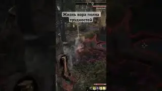 Тяжёлая жизнь вора в TESO