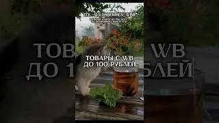 Вещи с ВБ до 100 рублей 💗 #вб #wb  #wildberries #носки #уход #одежда #украшения #100рублей #дешево