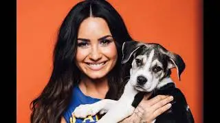DEMI Lavato NEW AI Poem LOVES ANIMALS Sorry Yes Sorry VEGAN Turkey Cow Pet Dogs Wildlife