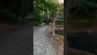 Koishikawa Korakuen Garden, Japan