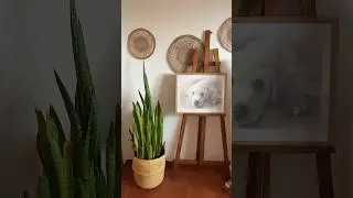 DECORATE WITH ME LOW COST