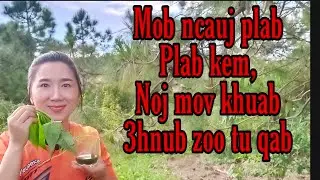 Mob ncauj plab lo  ntau xyoo,Noj mov kem,noj mov khuab hauv 3hnub xwb zoo lawm