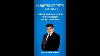 Server Side validation for TextBox in ASP.Net Core MVC