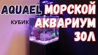 Nano Reef. AquaEl. Episode 7.