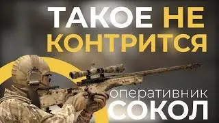КАЛИБР. Сокол в ПВП. Такое не конртится!)