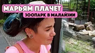 ЗООПАРК В КУАЛА ЛУМПУР. ZOO NEGARA - ОГРОМНЫЙ ЗООПАРК В МАЛАЙЗИИ. САД БАБОЧЕК, ТИГРЫ, КЕНГУРУ