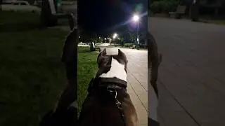 Всех в телеграме ждём. В профиле ссылка